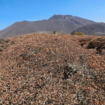 大船山、北大船山✨