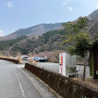 駐車場🅿️に戻ってきたぞー
ココの自販機でコーラを飲んで
YAMAPは、お疲れ山

帰りはのんびり下道でかえーる🐸

で、
Instagramで知ったお店に寄り道しよー