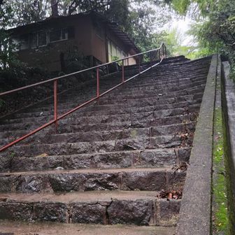 御幸ケ原コースの登山口前の階段、右脇の排水溝には雨水が流れていました。
