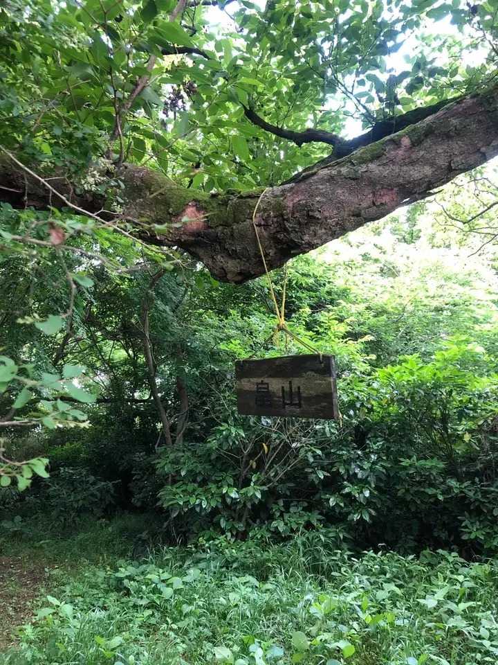 畠山の写真