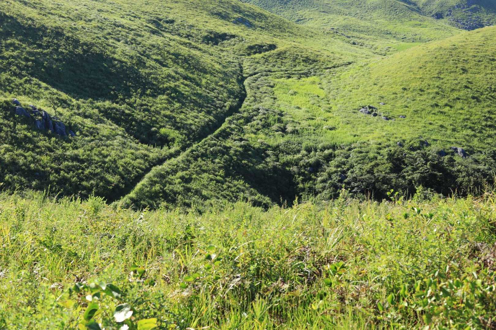 中峠-四方台 周回コースの写真