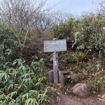 弘法清水で水分補給