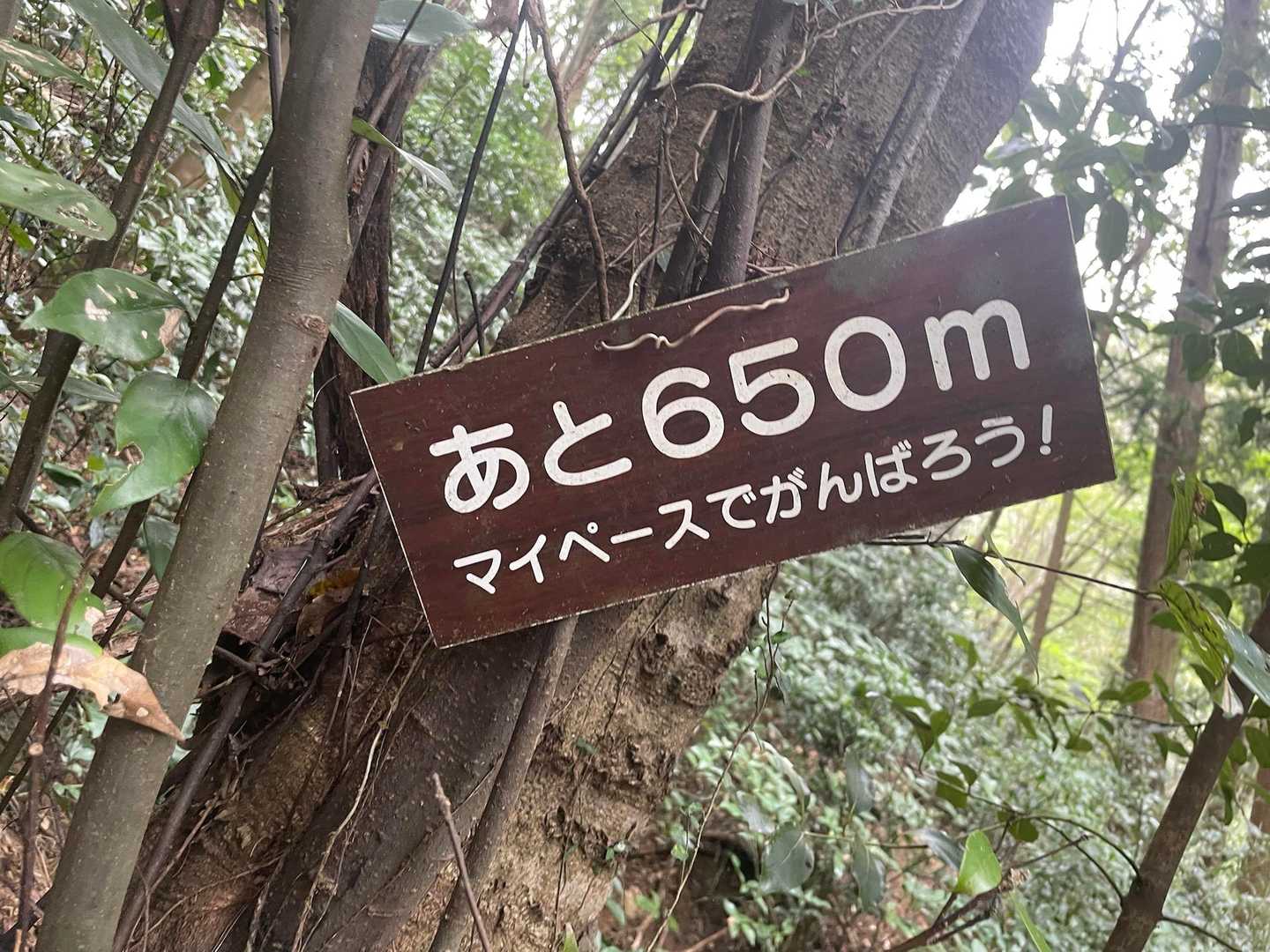 お、、、おう！