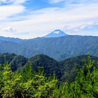 名の通り富士山が正面に見えます