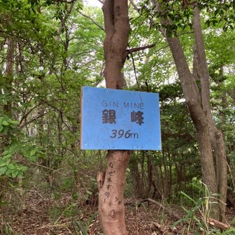 ここで降道を間違えて外かんへ行ってしまった😣