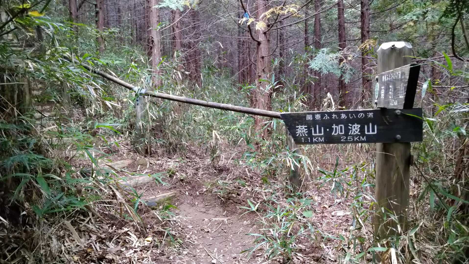 燕山への階段急登
ここから燕山までがこのコースの中で、一番辛ら過ぎて泣きが入ります😭