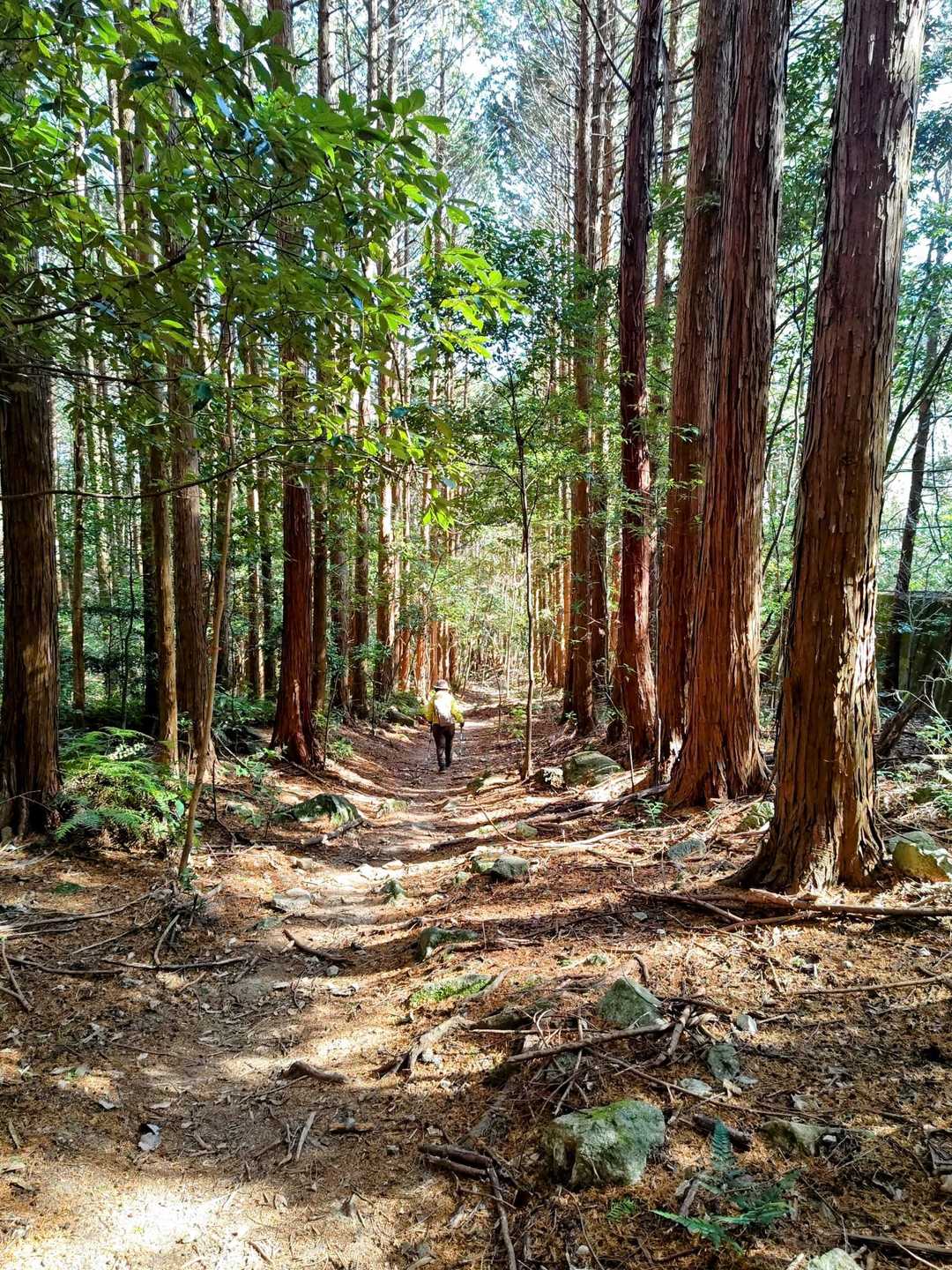 福岡市内から気軽に、山頂の鐘を撞く鐘撞山の写真
