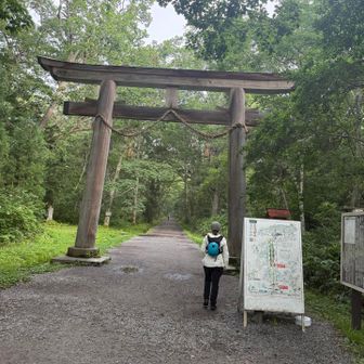 奥社への並木道と合流