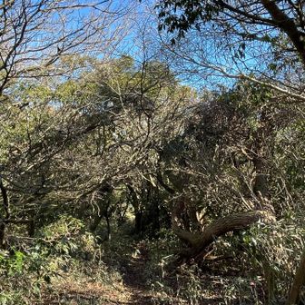 またトトロ道程なくして