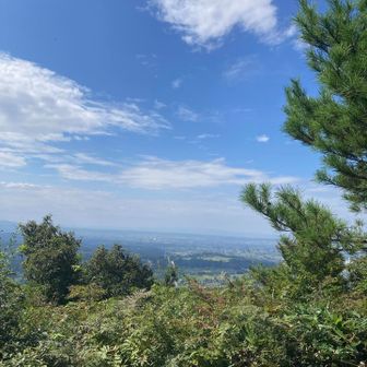 富山市はボヤッと。