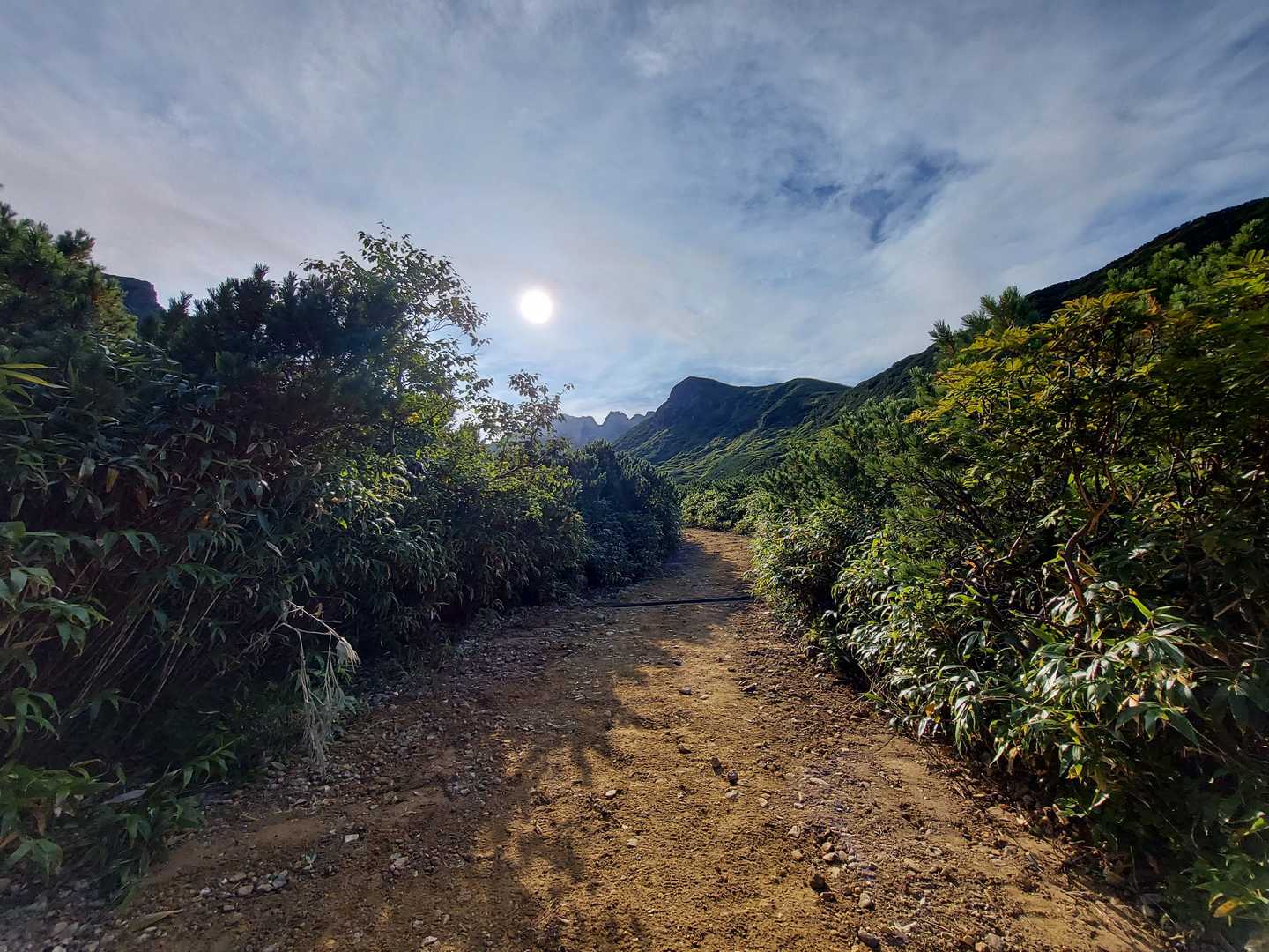 先日の大雨で削られた登山道に土を入れてくださり、とても歩きやすくなっています。
ありがとうございます‼️