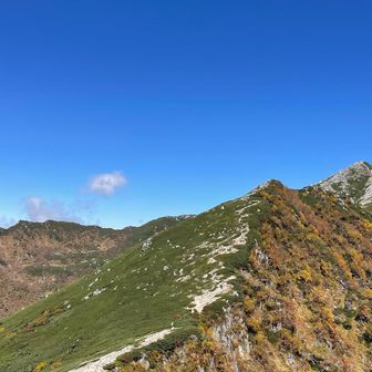 三ツ沢岳の下に広がるカールは、西千畳敷と呼ばれているみたい