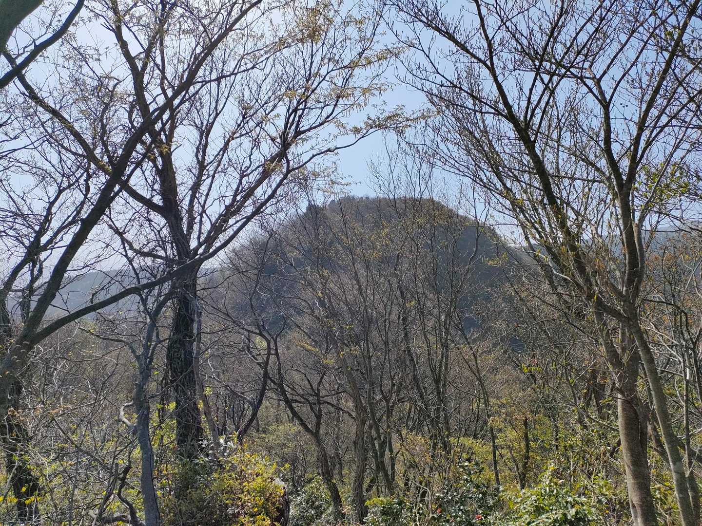 夫婦山-夫婦山 往復コースの写真