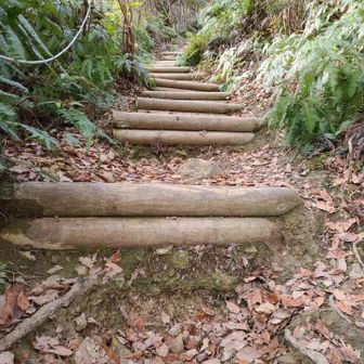 キャンプのおっちゃん