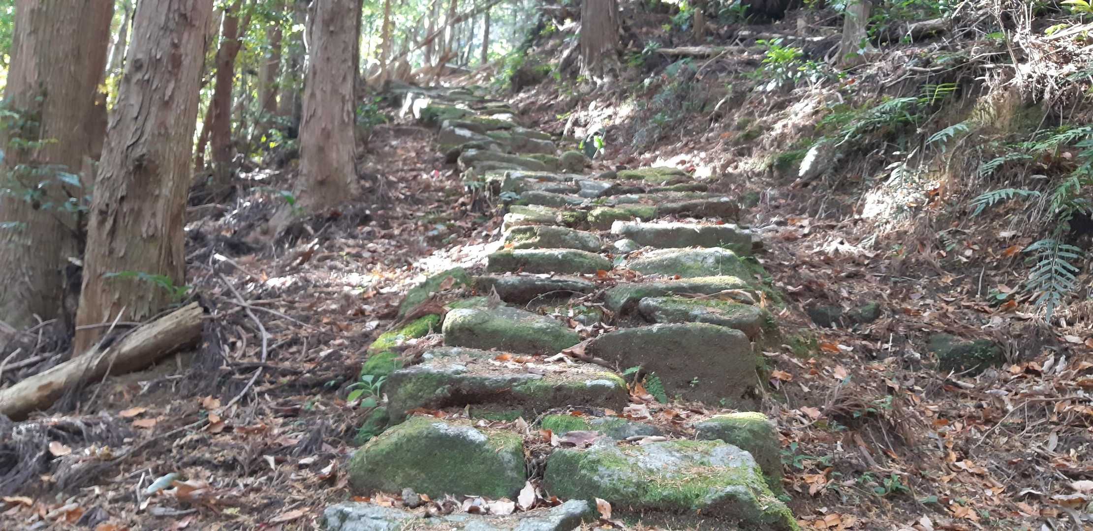 昔の生活道路みたい石段が続きます❗