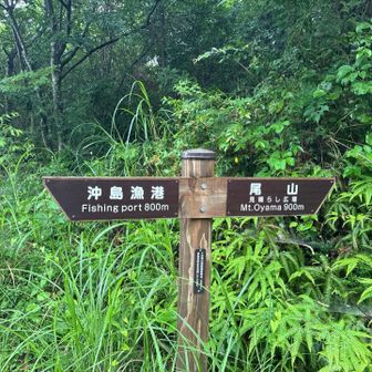 尾山に向かいます