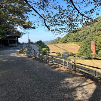 登山口付近