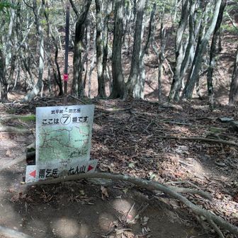 七人山との分岐。このまま通過して雨乞岳へ。