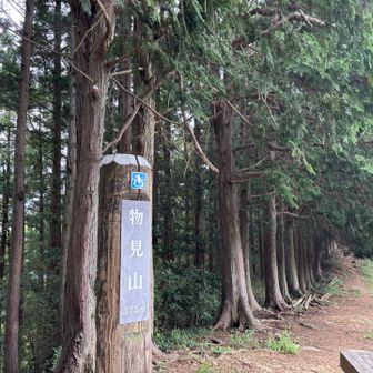 本日の最高地点