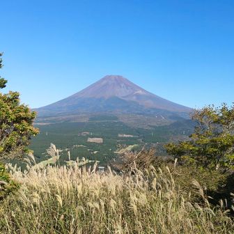 馬ノ背見晴台から観た富士山