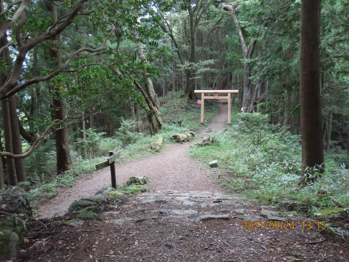 この鳥居の周りでは行きも帰りも、カケスをメインにいろんなトリの鳴き声を聞けましたが、姿は見せてくれません😰