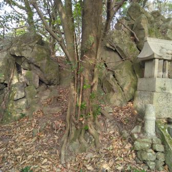 高登神社跡⛩️
四等三角点🔺 154.5m
左奥の石積みが気になる😄　古墳ぽい？