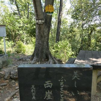 2度目の…⛰️