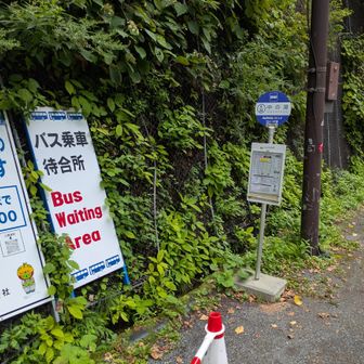 温泉からバス停へは歩くと50分位かかるので注意⚠️
YAMAP着予想だと20分で缶ビール飲みながら余裕こいて歩いてると予想時刻がみるみる延びていく⋯ちょっと走った
13:05のバス時刻にギリギリ間に合った（バスは13:08くらいに来た）