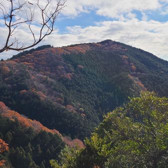鳥川アルプス森ヶ峰(踏破済)。
先を見越して、現在ピークの無い未踏ルートで繋ぐ(笑)