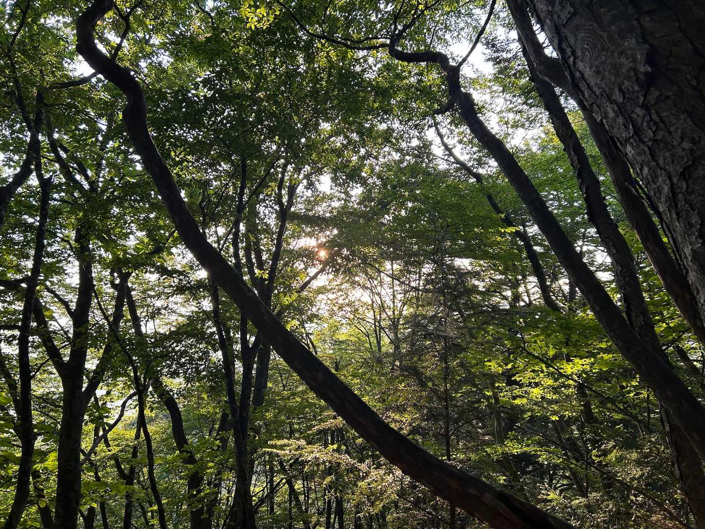 日が登ってきました。
今日も天気は良さそうです🌤️