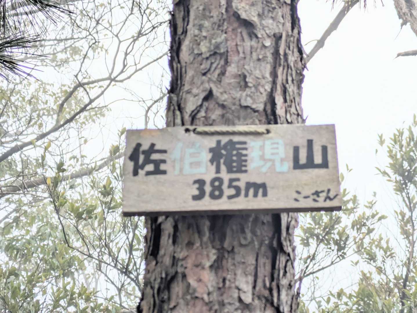 ⑤佐伯権現山