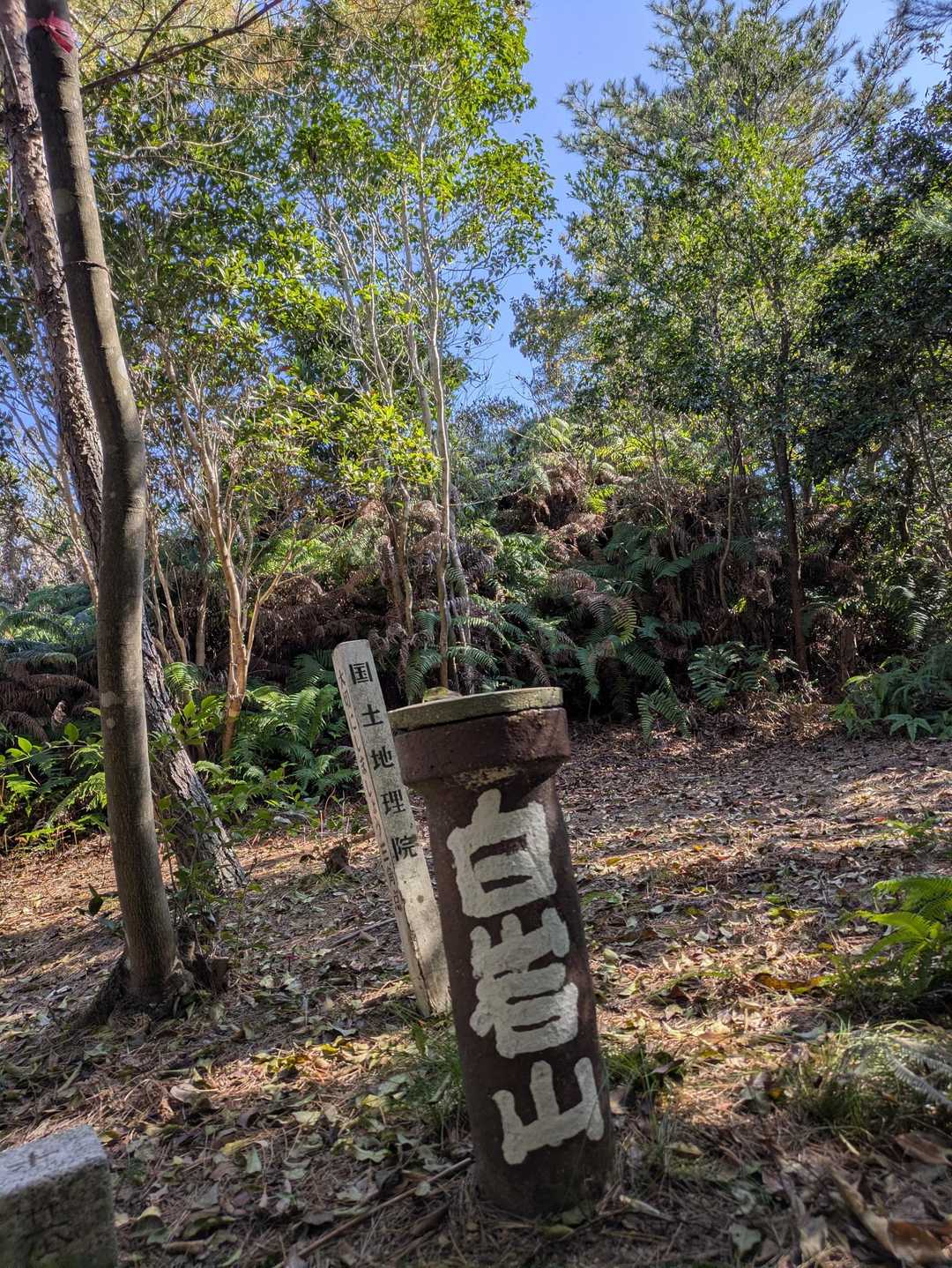 何とか辿り着いたが眺望なし😑
こーゆー時は〜
