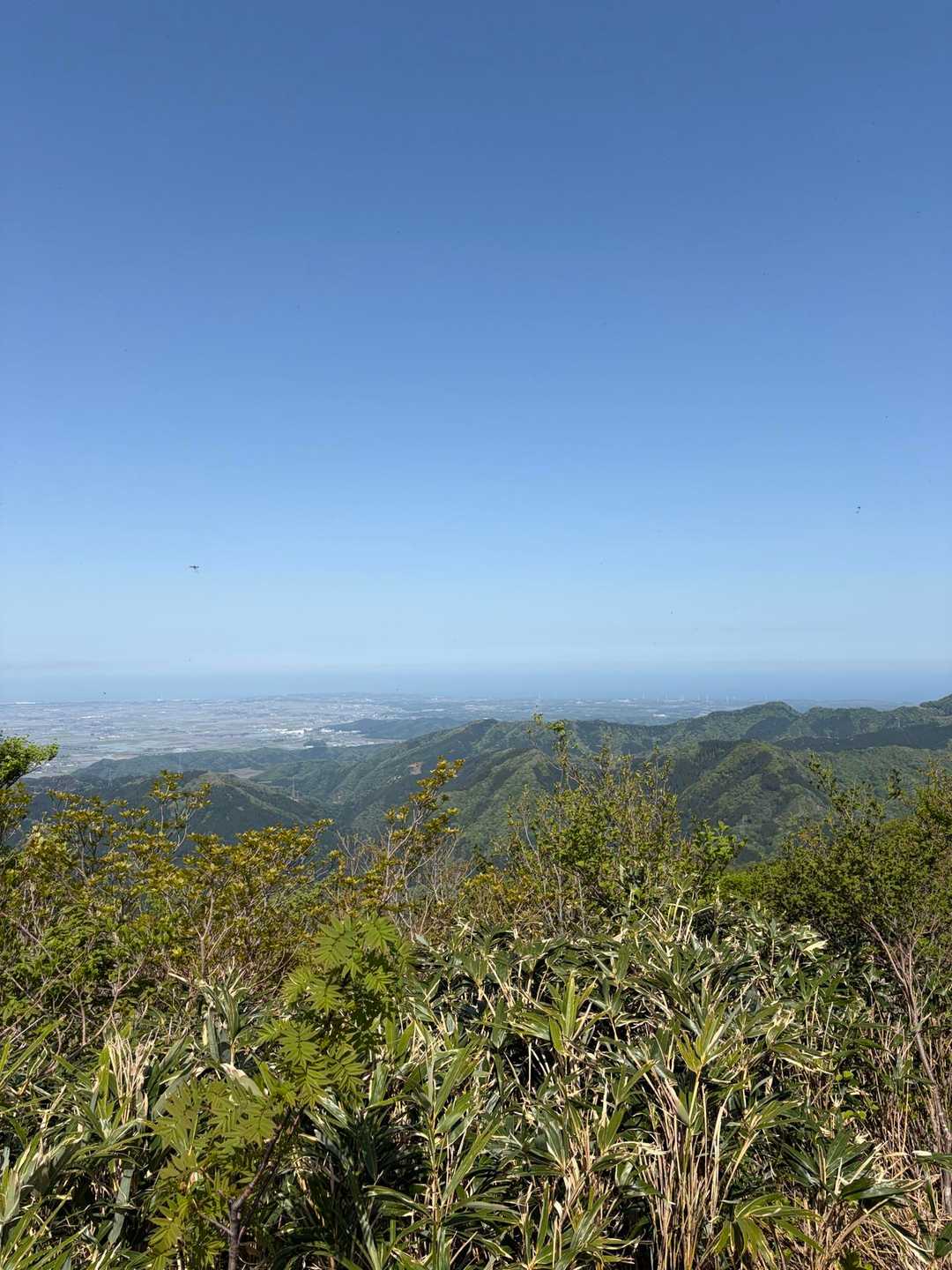 綺麗な青空💙