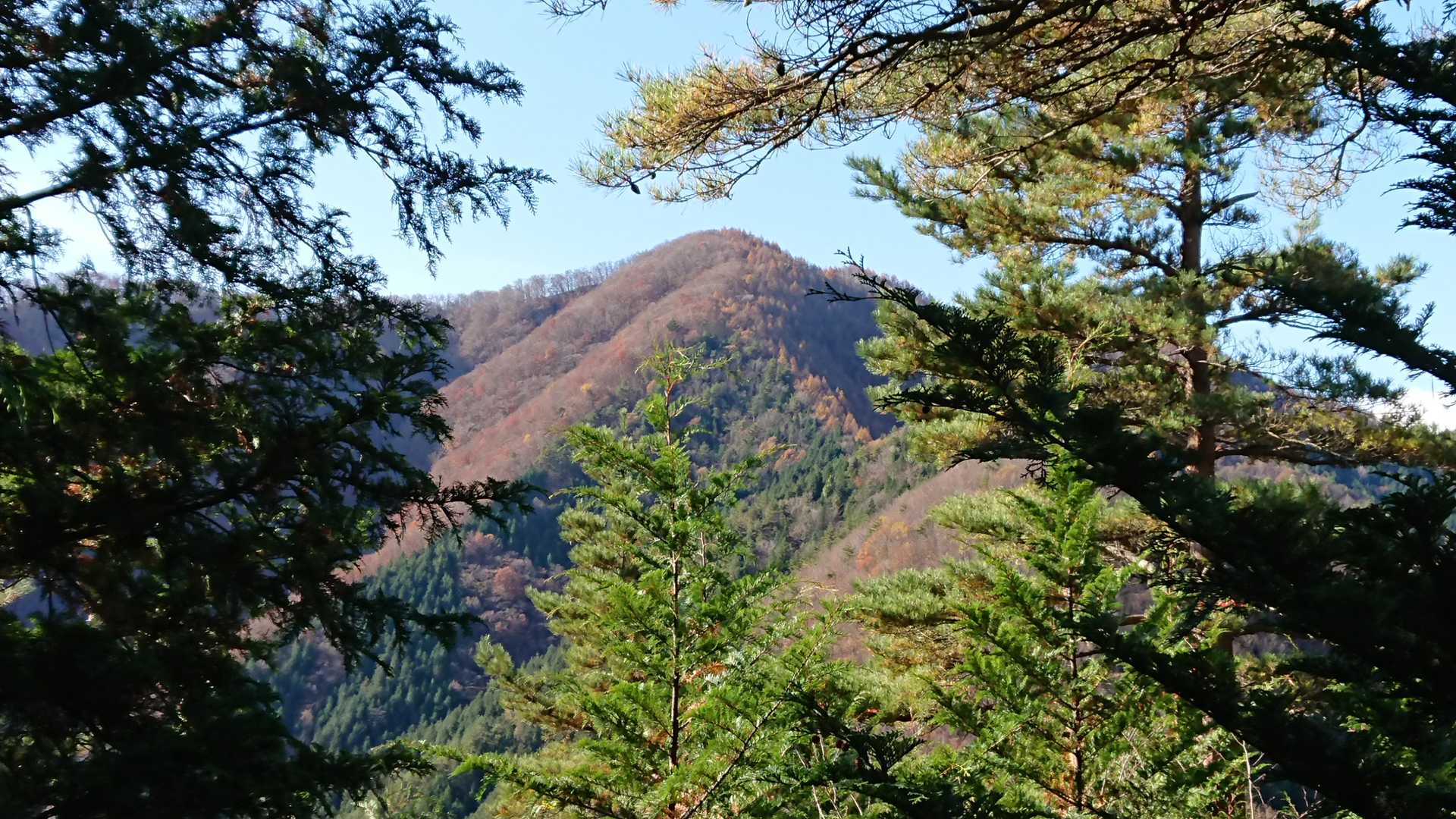 あれが赤鞍ヶ岳かな❓🤔