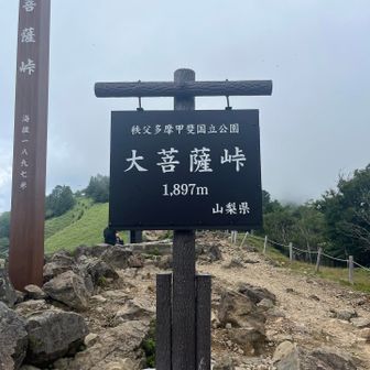 大菩薩峠、山頂じゃ無いのに立派な標識