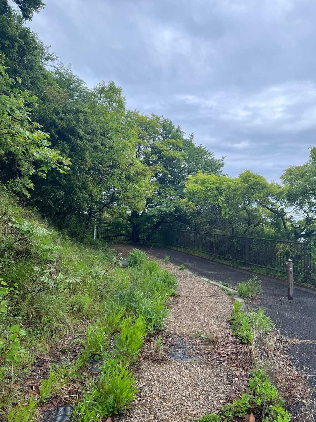 俎石山登山口-第1休憩所-俎石山 往復コースの写真