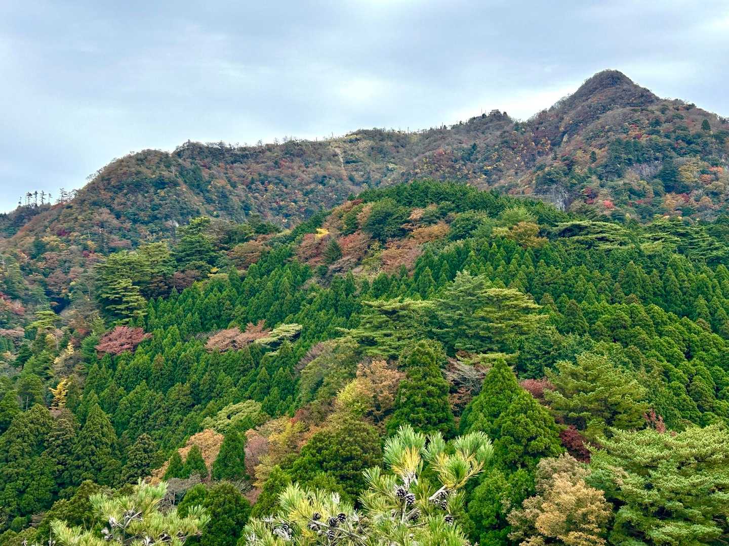 玉屋神社登山口-英彦山 周回コースの写真