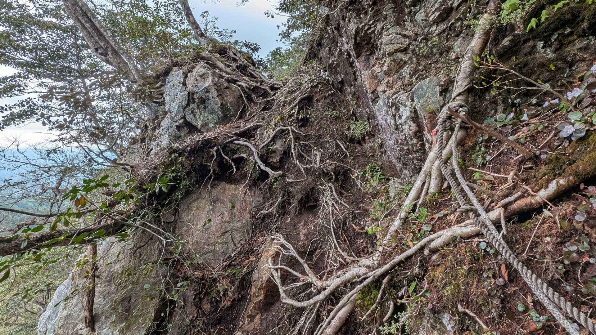 ここ足場が無く、木の根だけが頼りで怖い場所でした