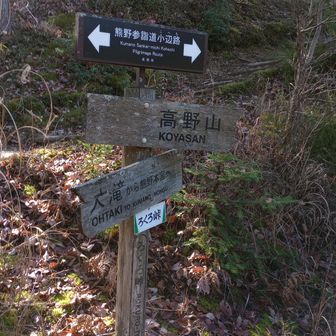 大滝口女人堂跡。ここからしばらく小辺路と同じルートを歩く。