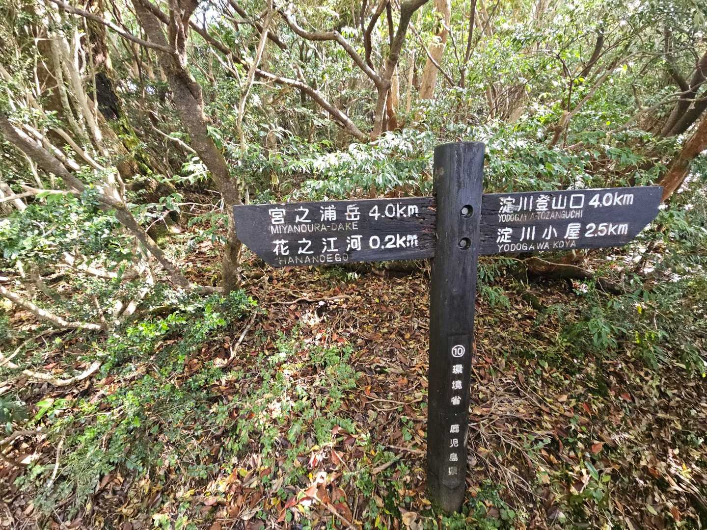 淀川入口-黒味岳 往復コースの写真