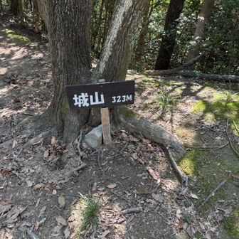 滝山城跡の城山
ピーク