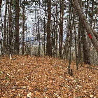 大泉山頂上に到着しました
三角点と手作りの山頂標識があります