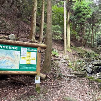 暑いので車でここまで来れば良かったと後悔