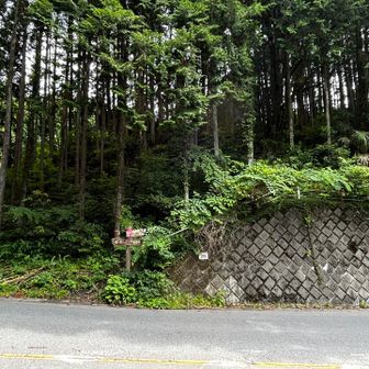 道路に出ました
高水三山行こうか迷いましたがやめて軍畑駅へ
これから登る方々と沢山すれ違いました