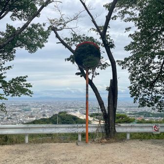 まだ高さはあるけど、山自体の下山は完了✅
住宅街を抜けて駅まで戻ります🚶‍♀️‍➡️