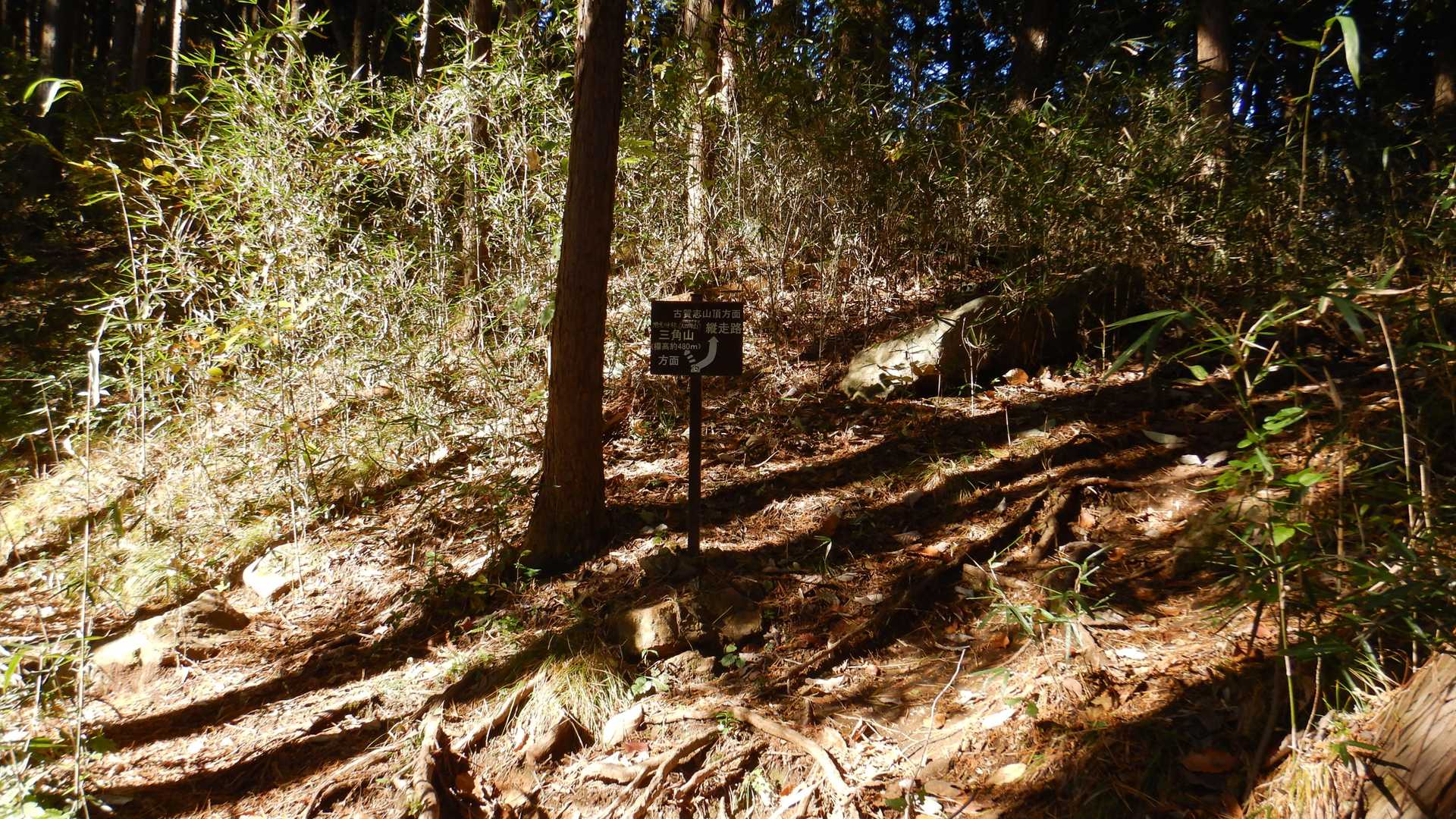 三角山との分岐を右上に↗️