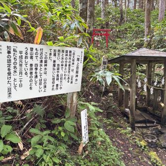 龍神水をペットボトルに汲みました
飲用不可とありますが山頂付近で汚染の可能性もないので煮沸すれば問題なしと判断しました