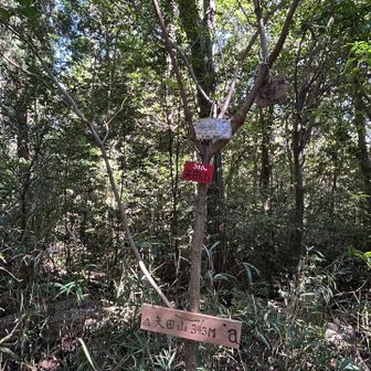 矢田山のピークにも行っておいて(ここには一度来たことがあります)、天神山のピークに寄り道しつつ下山することにします。