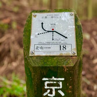 だけど京都トレイルの一部