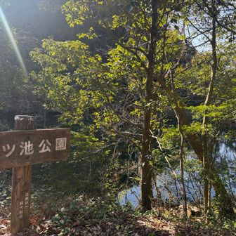 一旦舗装路に出て歩道を歩く🚶‍♀️池のある公園の脇を歩いて…